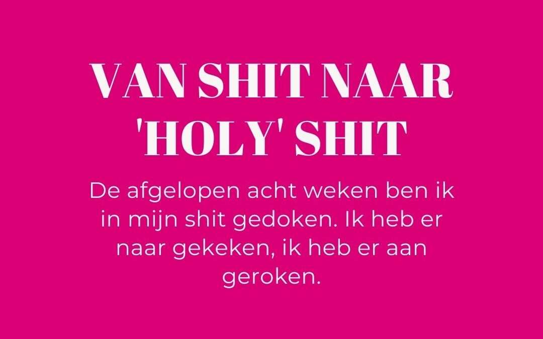 Van shit naar holy shit